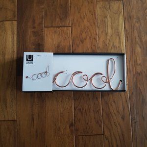 Umbra Cool Wall Decor Copper Style NWT